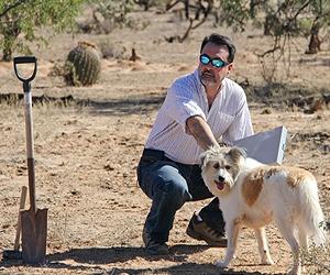 Research raises new questions about animal empathy