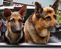 Garmin Introduces Astro GPS Dog Tracking Collar