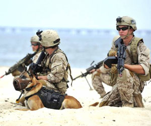 Wearable computers could let service dogs communicate with masters