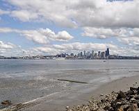 Floating DNA reveals urban shorelines support more animal life