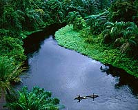 Chinese logging company to invest 8.3 million euros in Congo