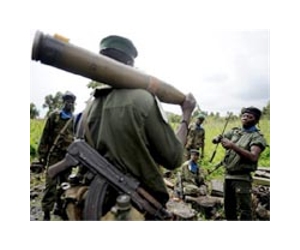 Eight killed in militia attack at DR Congo wildlife reserve