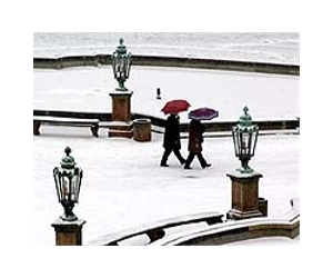 Cold snap to cost Germany billions: institute