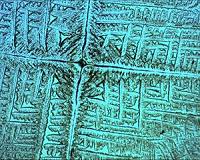 Bacteria manipulate salt to build shelters to hibernate