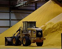 Ethanol Byproduct Produces Green Results