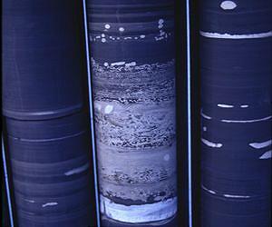 Large bacterial population colonized land 2.75 billion years ago