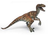 Argentine paleontologists discover small carnivorous dinosaur