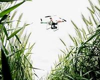 Drones give farmers an eye in the sky to check on crop progress