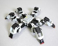 Scientists invent new, faster gait for six-legged robots