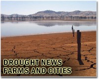 Drought ignites human-wildlife conflict in Zimbabwe