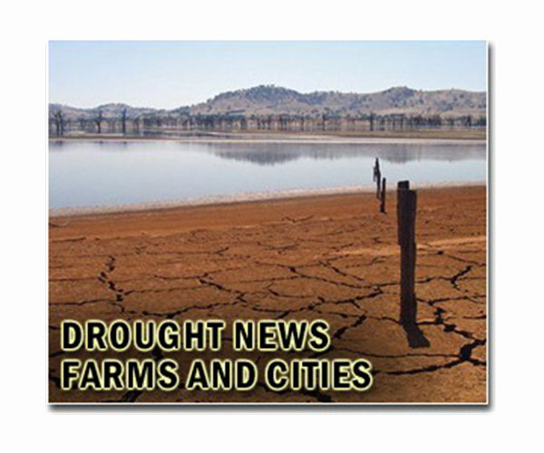 Record drought in Amazon impacts 420,000 children: UNICEF