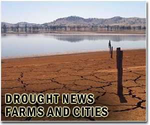 Survival struggle against Somalia's drought