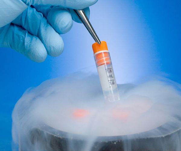 DARPA seeks solutions to preserve bio-samples without cold storage