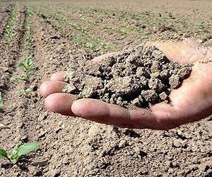 Rethinking connection between soil as a carbon reservoir and global warming