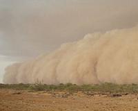 Flights delayed, schools shut as sandstorm hits Gulf