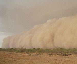 Soil carbon 'blowing in the wind'