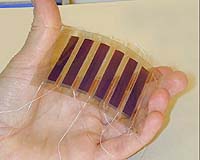 Researchers Think Pink To Produce Green Solar Energy