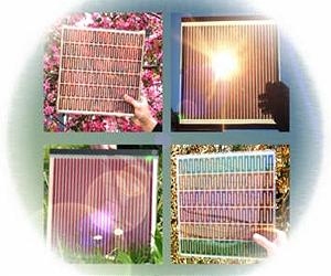 Swiss wins million-dollar prize for low-cost solar cells