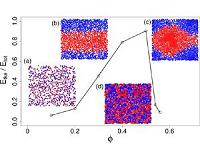 Researchers simulate behavior of 'active matter'