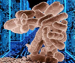 How quickly can a bacterium grow?
