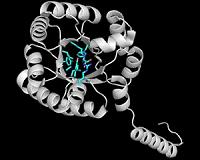 Synthesizing how molecules formed at dawn of life on Earth