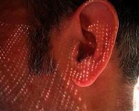 Scientists identify genes critical for hearing