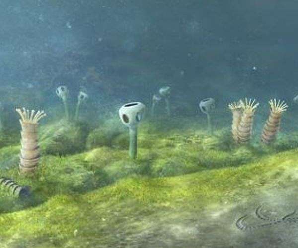 Early Sea Level Changes Influenced Evolution of Ancient Life, Study Shows