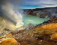 Brewing up Earth's earliest life