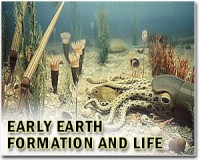 Moss boosted Earth's oxygen 400 million yrs ago: study