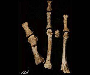 Burtele Foot Indicates Lucy Not Alone