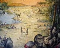 Ancient human history more complex than previously thought