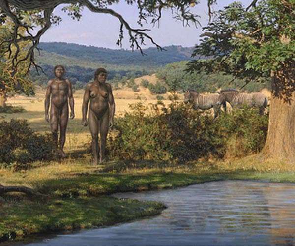 Archaeologist claims human relative used controlled fire for light, cooking