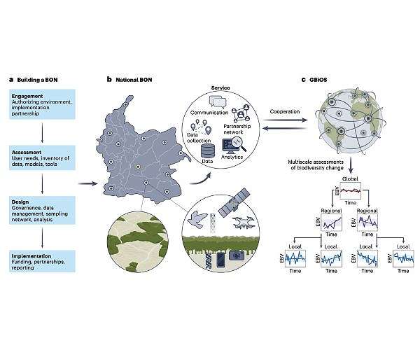 Biodiversity patterns change predictably with scale across ecosystems