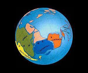 Parts of Gondwana megacontinent found off Australia