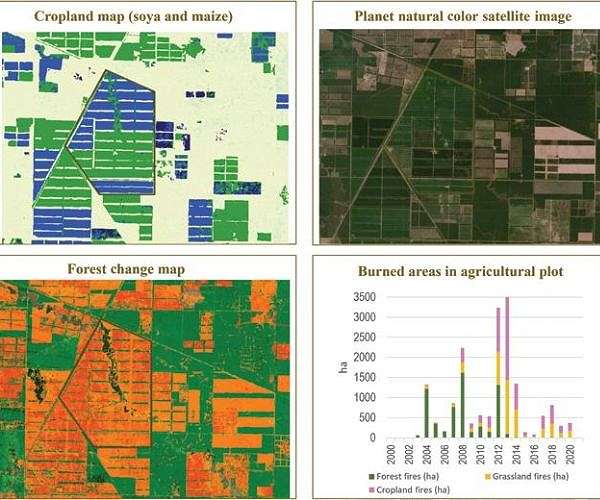 Satellite Framework Unlocks Hidden Crop Sowing and Emergence Dates at Field Scale