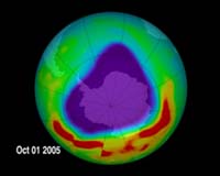 Ozone hole reappears over Antarctic: WMO