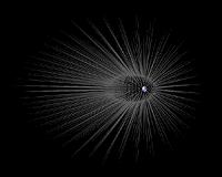 Earth Might Have Hairy Dark Matter