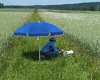 Organic agriculture boosts biodiversity on farmlands