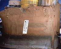 No Oxygen In Eastern Mediterranean Bottom-Water