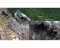 More than 2 million animals perish in Bolivia wildfires