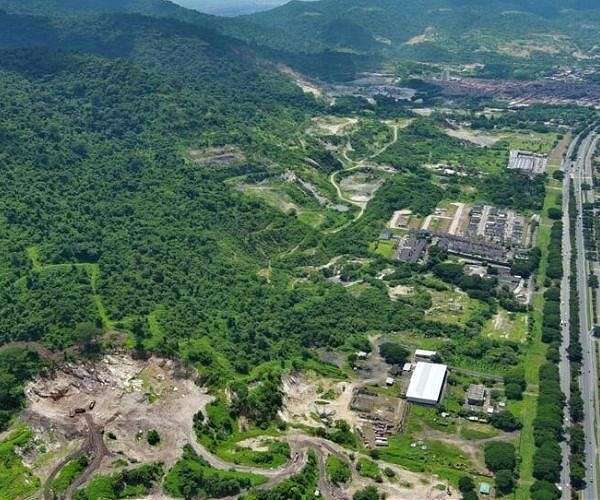 A primal forest encircled by Ecuador port faces ruination