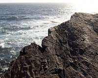 Why life on Earth first got big