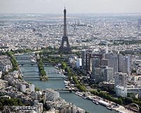 Saving bees: France's thriving city hives offer token help