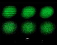 Studying how unconventional metals behave, with an eye on high-temperature superconductors