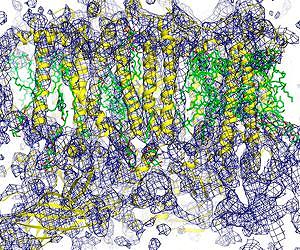 A New Way of Looking at Photosystem II