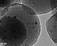 Turning Waste Material Into Ethanol