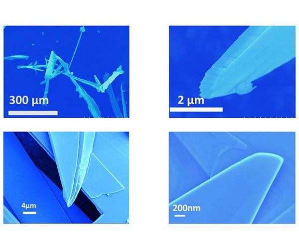 Molybdenene is the metallic relative of graphene