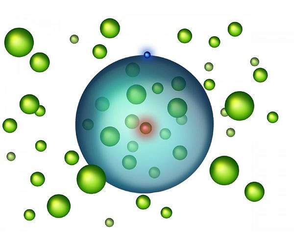 Physicists validate regression theorem in photon Bose-Einstein condensate