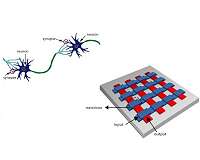 Understanding the building blocks for an electronic brain