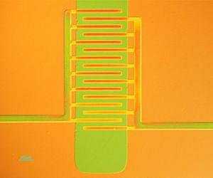 Paint-on plastic electronics: Aligning polymers for high performance